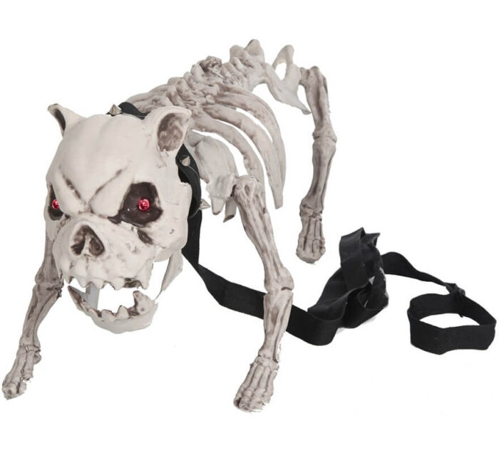 Esqueleto Perro 45 cms