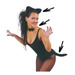 Imagen anterior del producto