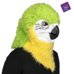 Imagen anterior del producto