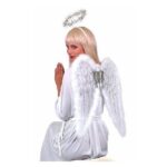 Imagen anterior del producto