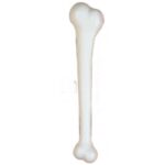 Imagen siguiente del producto