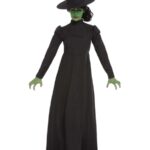 Imagen anterior del producto