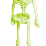 Imagen siguiente del producto