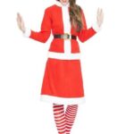 Disfraz mama noel