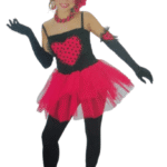 Imagen anterior del producto