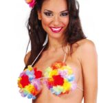 Imagen anterior del producto