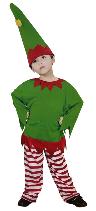 Disfraz gnomo infantil