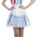 Imagen anterior del producto