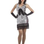 Imagen anterior del producto