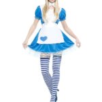 Imagen anterior del producto