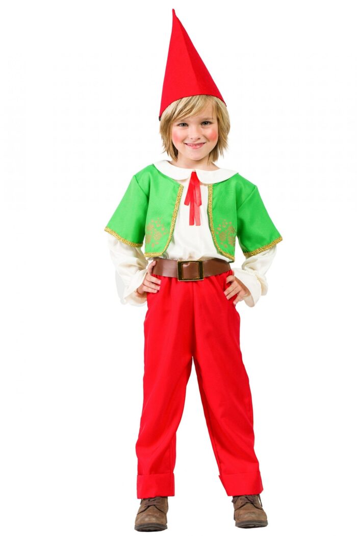 Disfraz Gnomo Niño