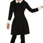 Imagen anterior del producto