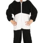 Imagen anterior del producto