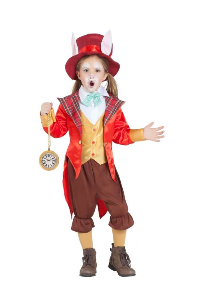 Disfraz Sombrerero Niña