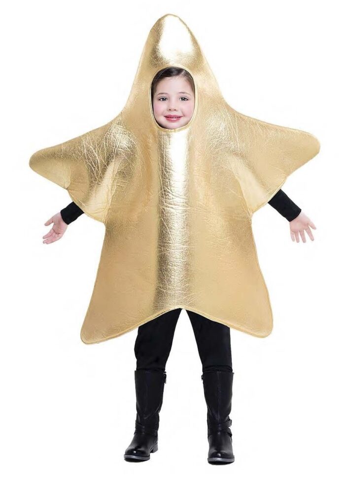 Disfraz Estrella Navidad