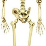 Imagen anterior del producto