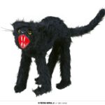 Imagen anterior del producto