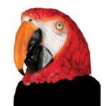 Imagen anterior del producto