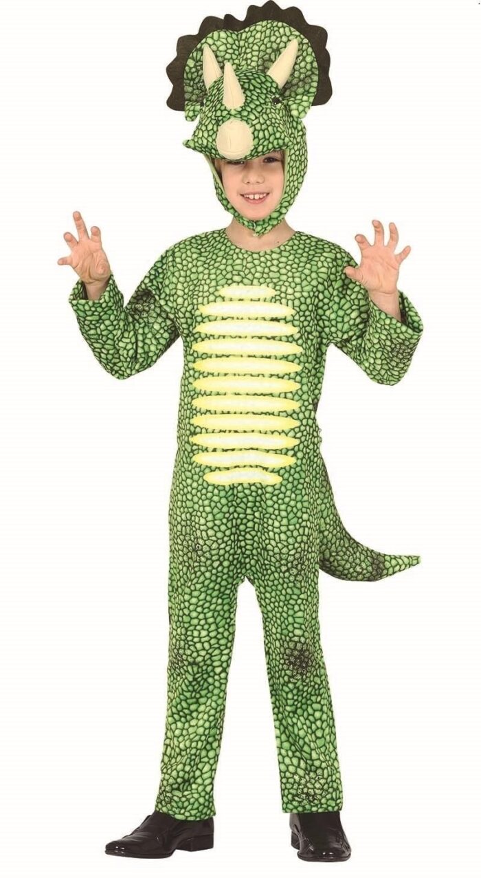 Disfraz Triceratops
