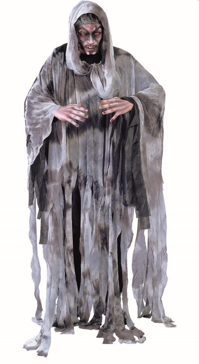 Disfraz Espíritu del Viento