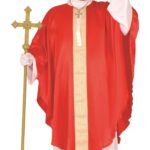 Imagen anterior del producto