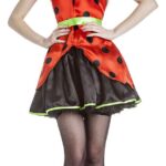 Imagen anterior del producto