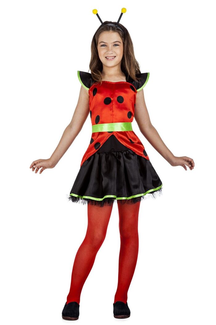 Disfraz Mariquita