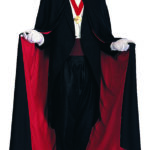 Imagen anterior del producto