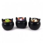 Imagen anterior del producto