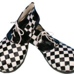 Imagen anterior del producto