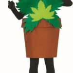 Dsifraz maceta con planta verde para adultos