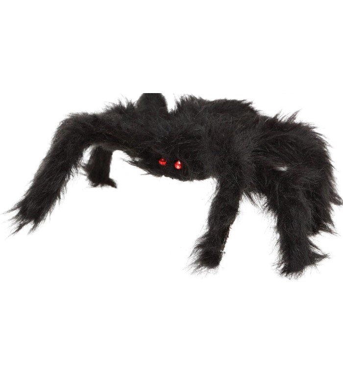 Araña peluda negra