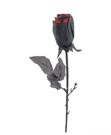 Rosa negra
