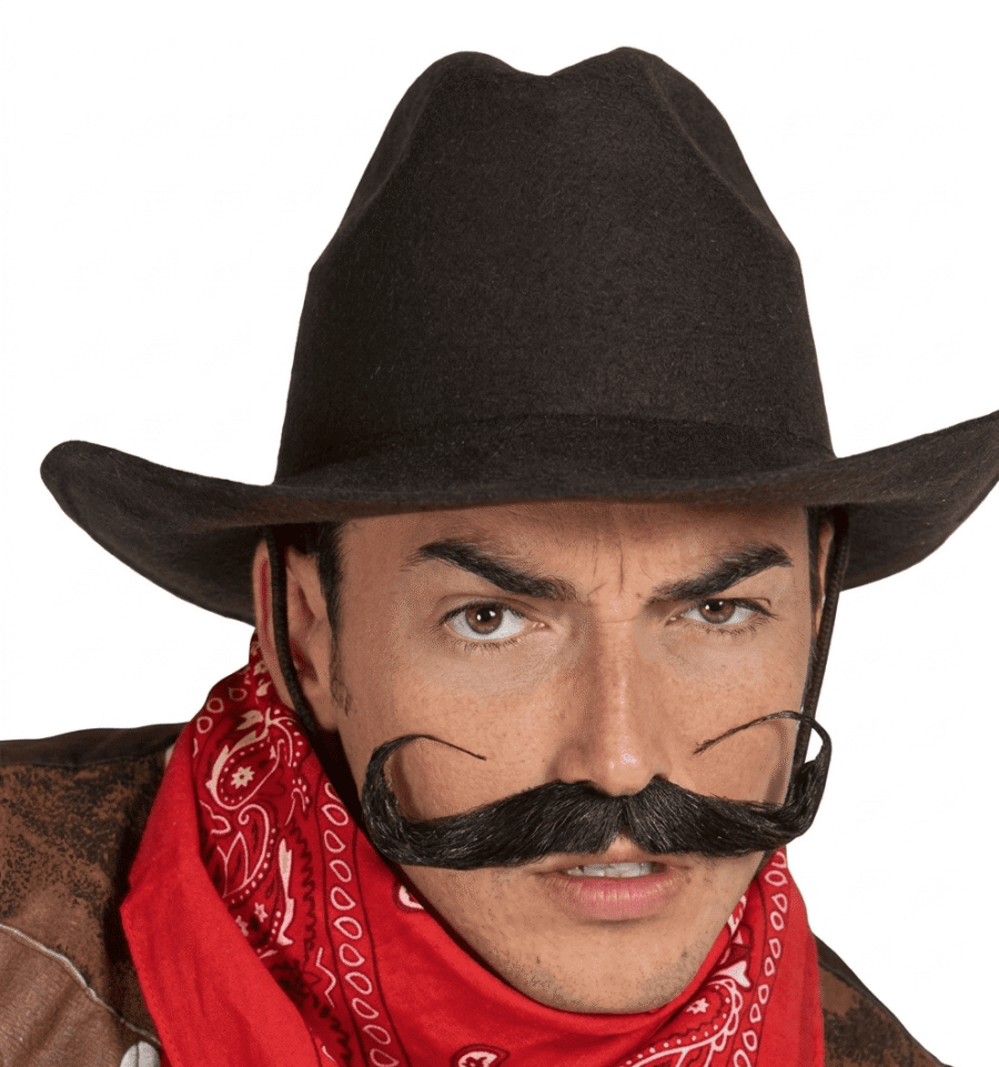 Bigote negro de mosquetero