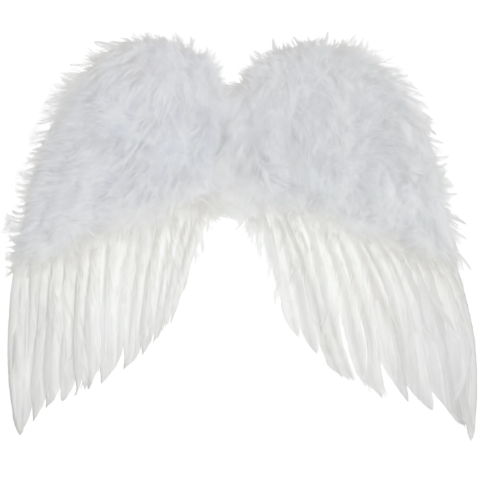 alas de plumas blancas
