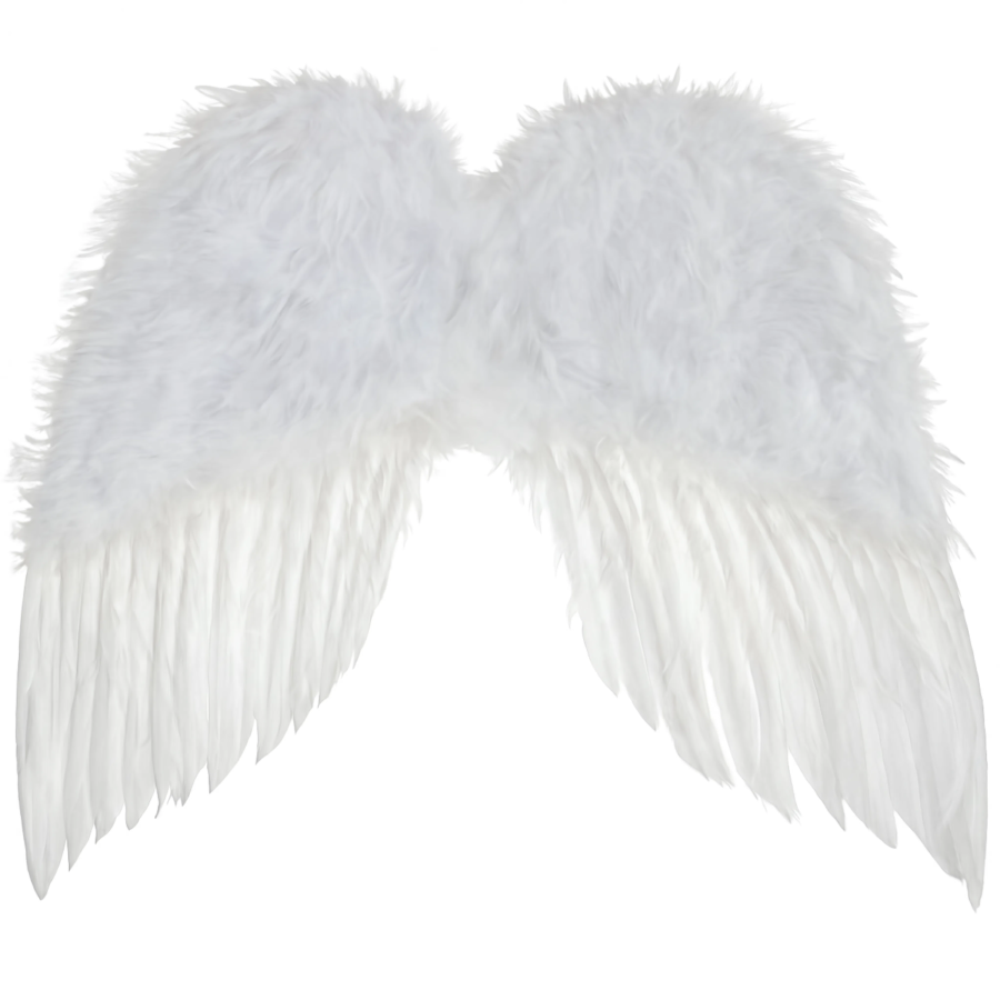 alas de plumas blancas