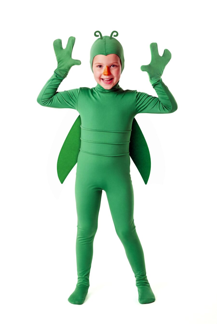 disfraz de insecto infantil