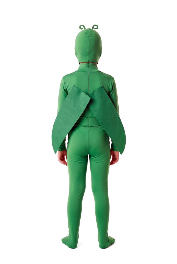 disfraz de insecto infantil